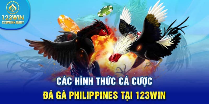 Các hình thức cá cược đá gà Philippines tại 123win