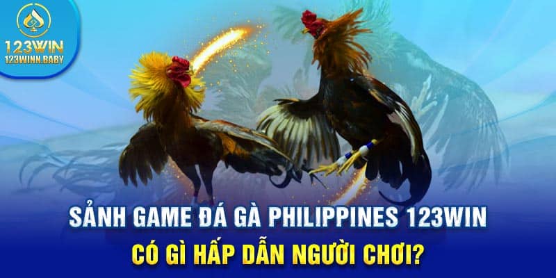 Sảnh game đá gà Philippines 123win có gì hấp dẫn người chơi?
